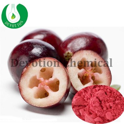 Cranberry Extract Powder - Procyanidin-413