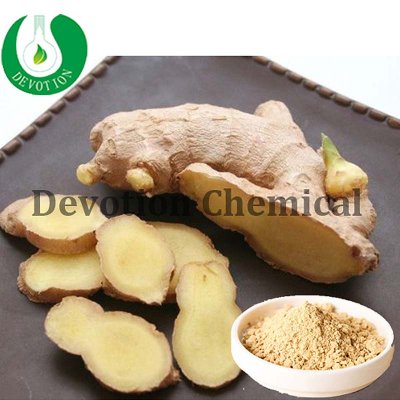 Ginger Powder- GINGEROL-424