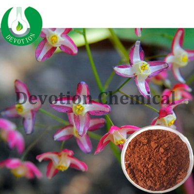 Horny Goat Weed/ Epimedium Extract- Icariin-418