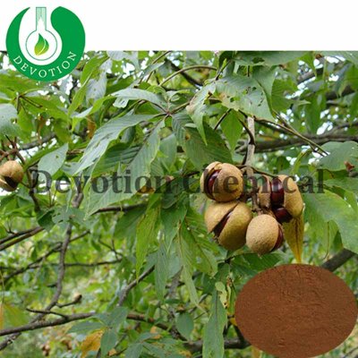 Garcinia Cambogia Extract- Hydroxycitric acid