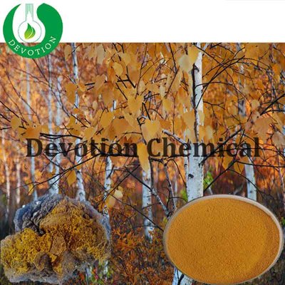 Chaga Mushroom Extract-425