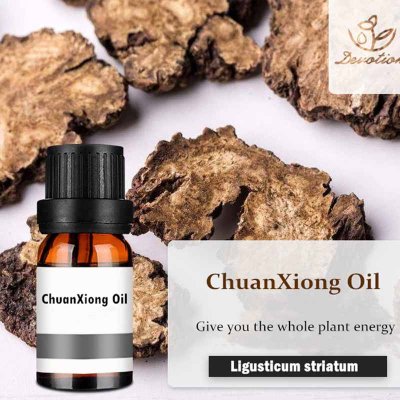 Manufacture Supply High Quality Ligusticum Wallichii Oil-442