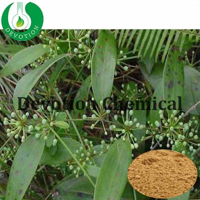 Wolfiporia Extensa Extract-428