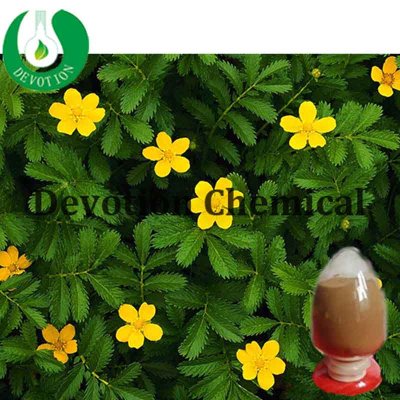 Tribulus Terrestris Extract- Saponins-402