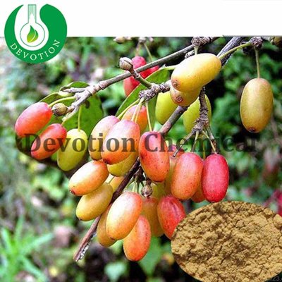Competitive Price cornus officinalis-430