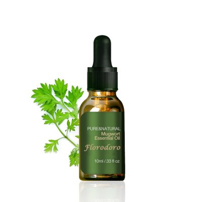 Pure Natural Mugwort Oil-505