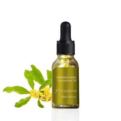 Factory Supply  Osmanthus fragrans oil-510