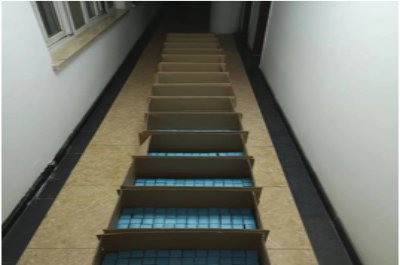 20000 Bottles of Air Purification Essential Oil Exported to American Customers