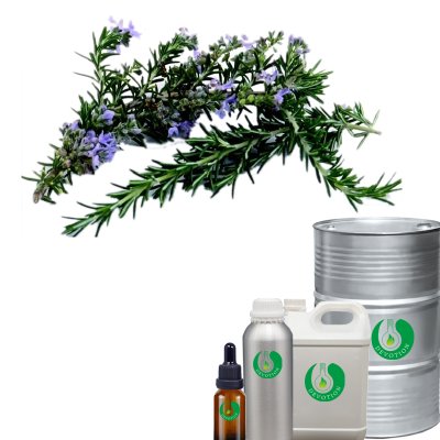 Vanilla Flavor Essence Oil