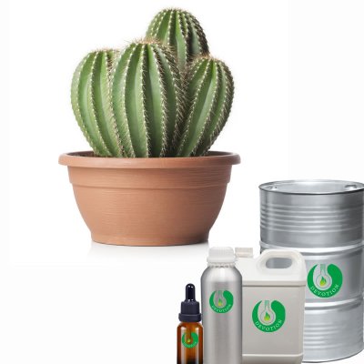 Cactus Super Concentrate Liquid Tobacco Flavor