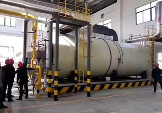 350×10^4 Kcal/h Dual Fuel Thermal Oil Boiler in Pakistan