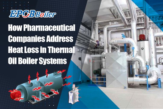 How Pharmaceutical Companies Address Heat loss in Thermal Oil Boiler Systems