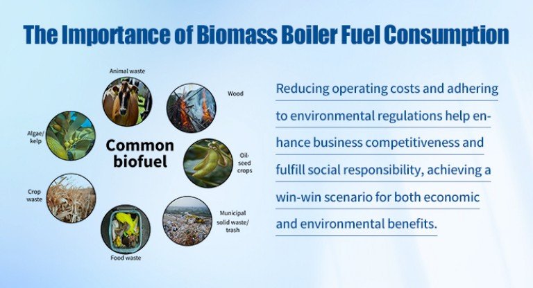 Importance of Fuel Consumption of Biomass Boiler