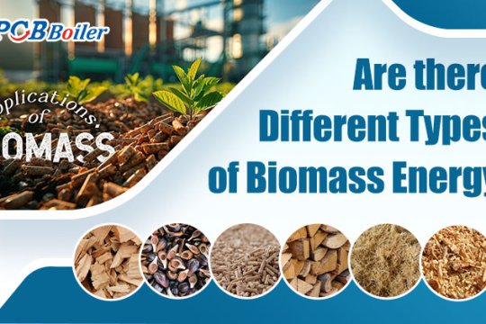 Are there Different Types of Biomass Energy