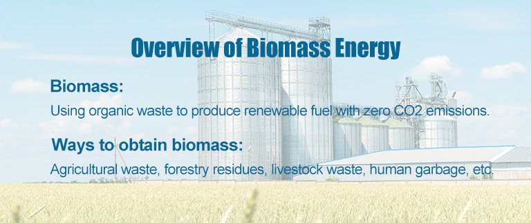 Overview of Biomass Energy