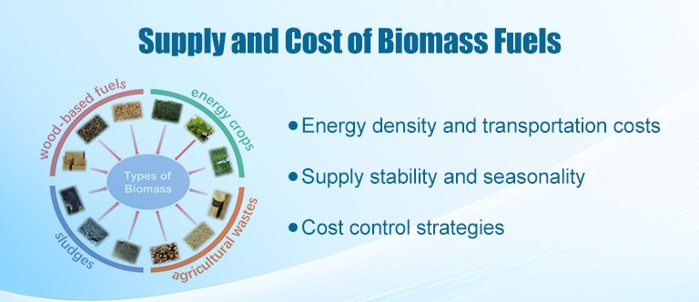 Supply and cost of biomass fuel