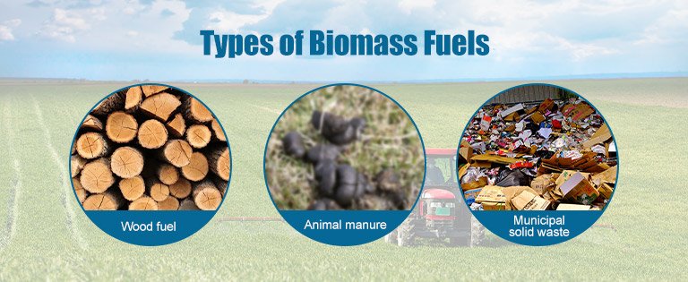 Types of Biomass Fuel