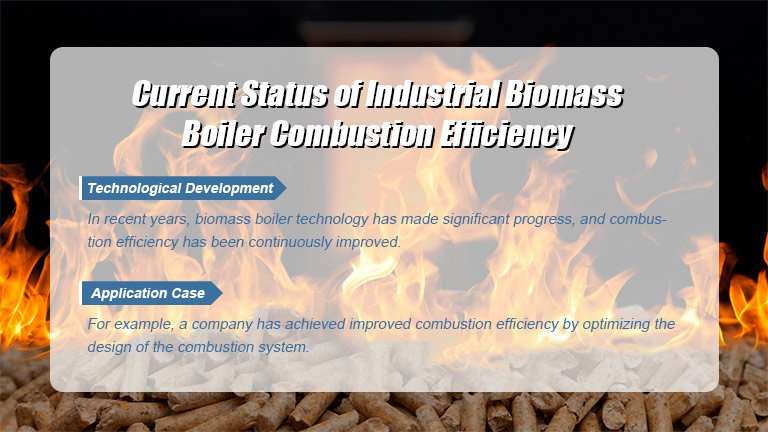 Current Status of Industrial Biomass Boiler Combustion Efficiency