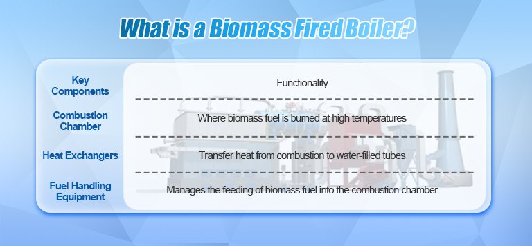 What is a Biomass Fired Boiler?