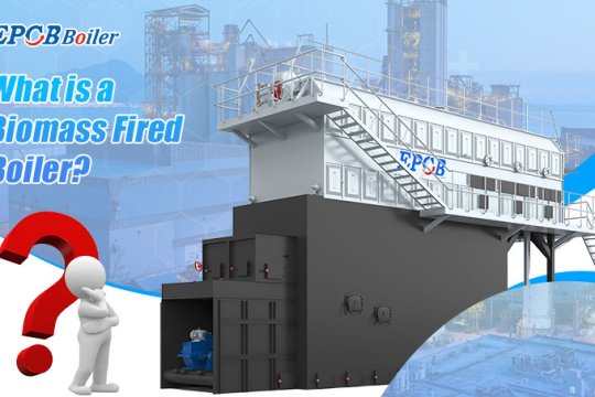 What is a Biomass Fired Boiler?
