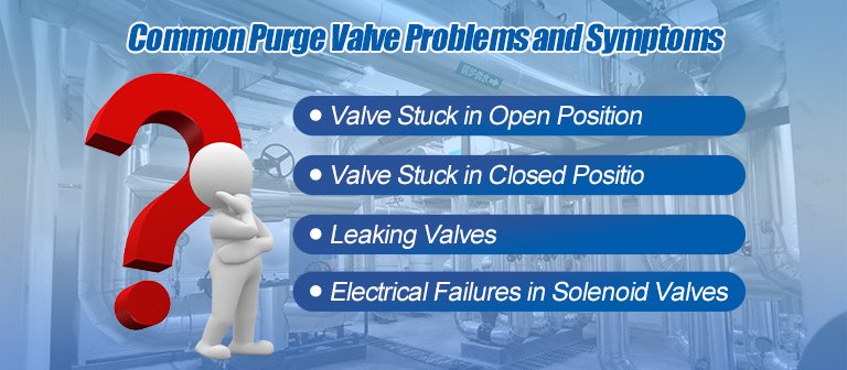 Common Purge Valve Problems and Symptoms