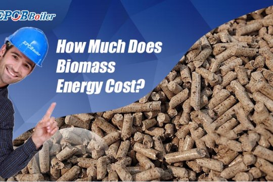 How Much Does Biomass Energy Cost? 