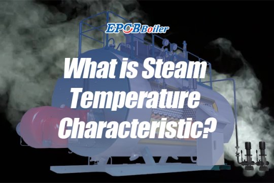 What is Steam Temperature Characteristic?