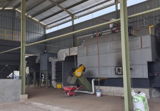 Steam Boiler Solution Tailored for Indonesia's Palm Oil Processing Industry