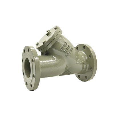 Strainer 01-Y Type Y Strainer flange end
