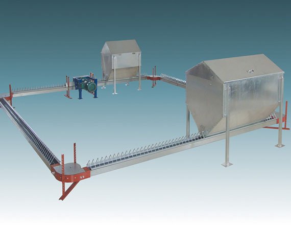 Broiler breeder chain feeding system