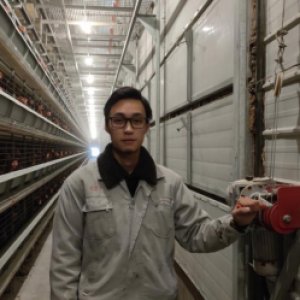 We provides layer chicken cage with after-sales service and technical update test for our customer