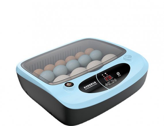 Household Incubator Chicken Egg Hatching Machine