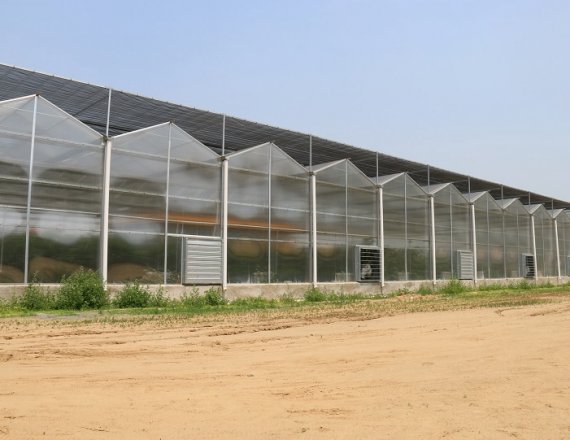 Light Deprivation Green House For Hemp and other plant