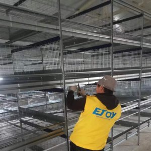H Type Brooder Cage Were Successfully installed To Mongolia