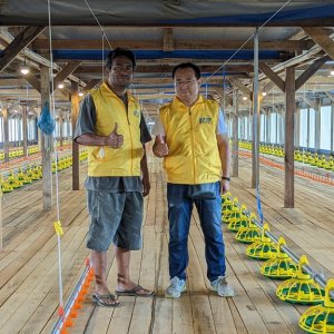Floor raise broiler house successfully installed in Indonesia