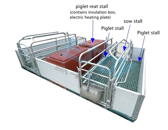 Pig farrowing crate (economic edition)