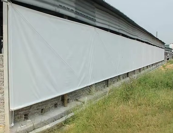 Rolling Curtain system for Pig and Poultry Farm House