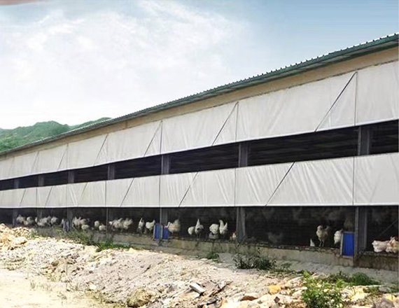 Rolling Curtain system for Pig and Poultry Farm House