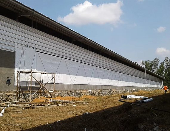 Rolling Curtain system for Pig and Poultry Farm House