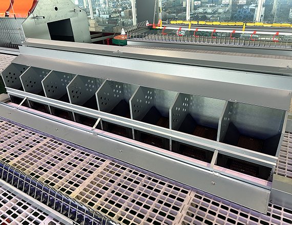 Automatic Egg Collection System Breeder Chicken Nesting Box