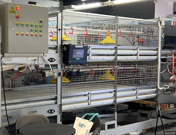 Automatic Broiler Cage Chain Harvesting System