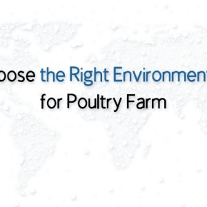How to Choose the Right Environment Controller for Poultry Farm