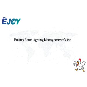 Poultry House Lighting Management: Scientific Strategies for Optimal Performance