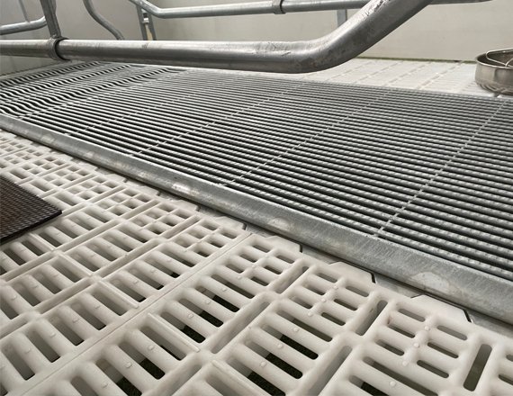 Pig Slatted Floor for Piglet Farm
