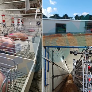 2026 Year of the Horse: EJOY Global Poultry and Pig Farm Projects in Full Swing