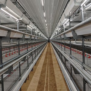 Philippines' 80,000-birds Broiler Cage Poultry Farm Project