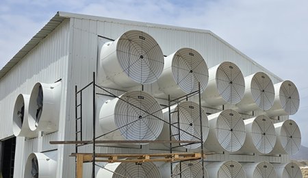 South America Automatic Egg Layer Chicken Cage Project
