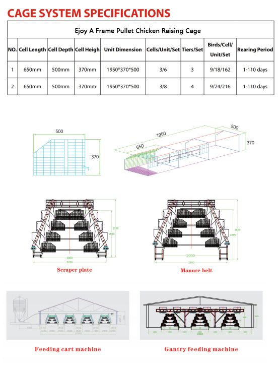 Chicken Pullet Cage