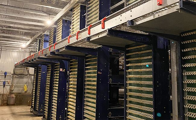 Egg collection system