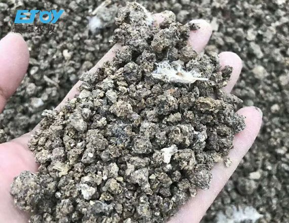 Dry poultry manure
